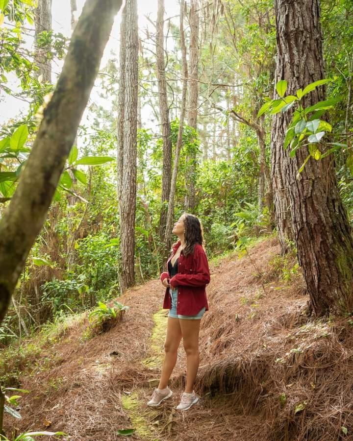Cabanas El Bosque توريالبا المظهر الخارجي الصورة