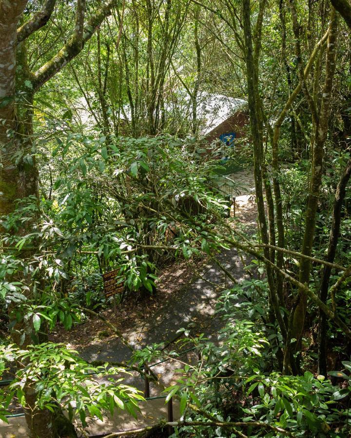 Cabanas El Bosque توريالبا المظهر الخارجي الصورة