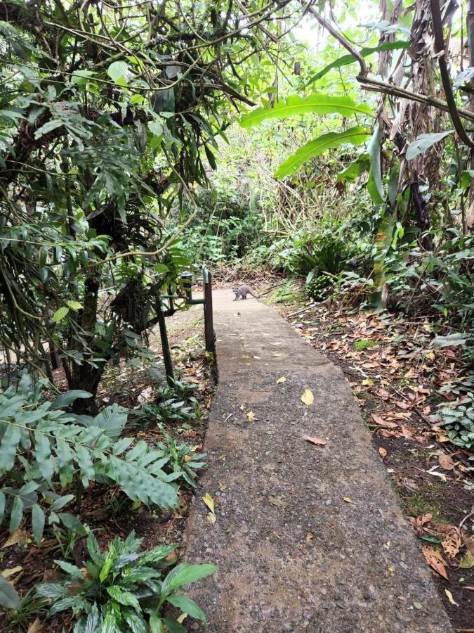 Cabanas El Bosque توريالبا المظهر الخارجي الصورة