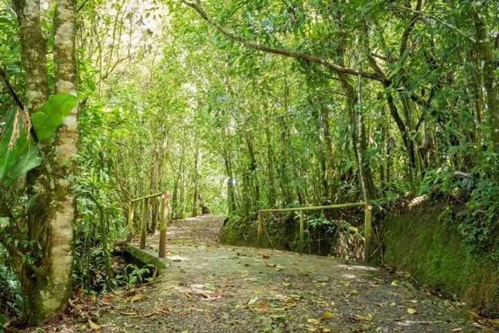 Cabanas El Bosque توريالبا المظهر الخارجي الصورة