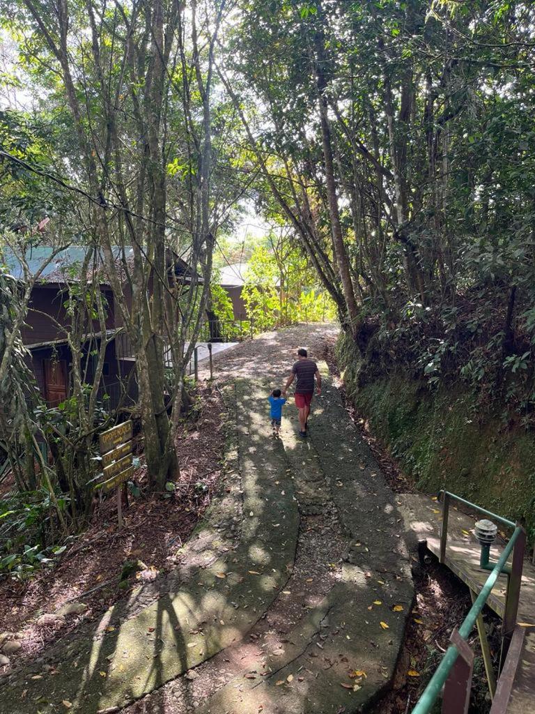 Cabanas El Bosque توريالبا المظهر الخارجي الصورة